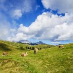 Qual è la valle più bella dell'alto Adige?
