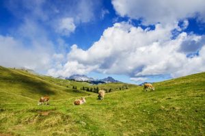 Qual è la valle più bella dell'alto Adige?